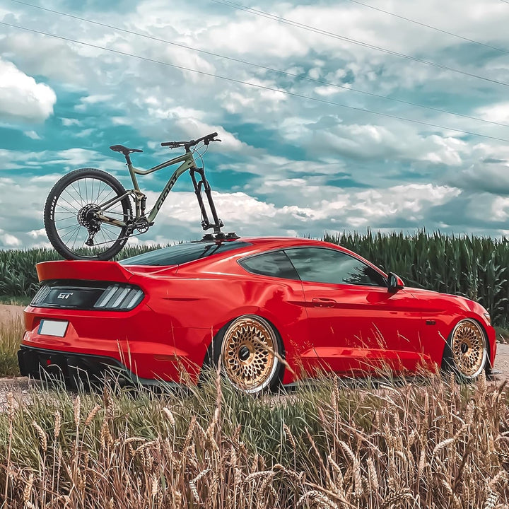 Portabicicleta con ventosa