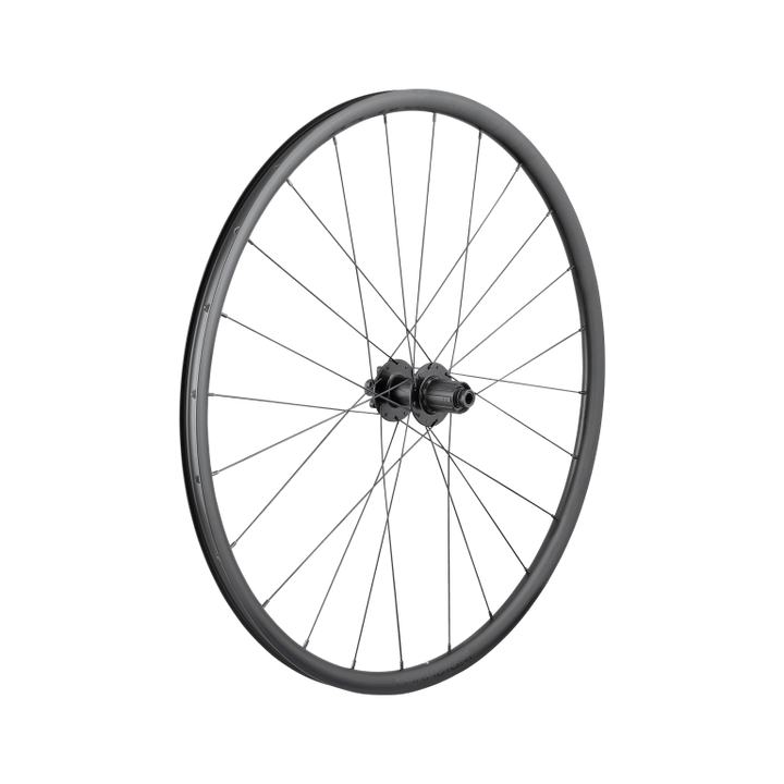 Rueda de ruta Paradigm SL