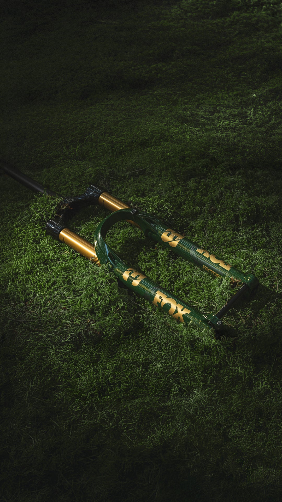 Horquilla 38 Factory Racing Green