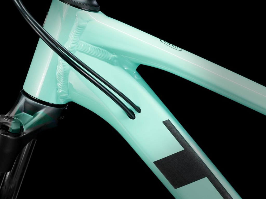 #color_miami-green