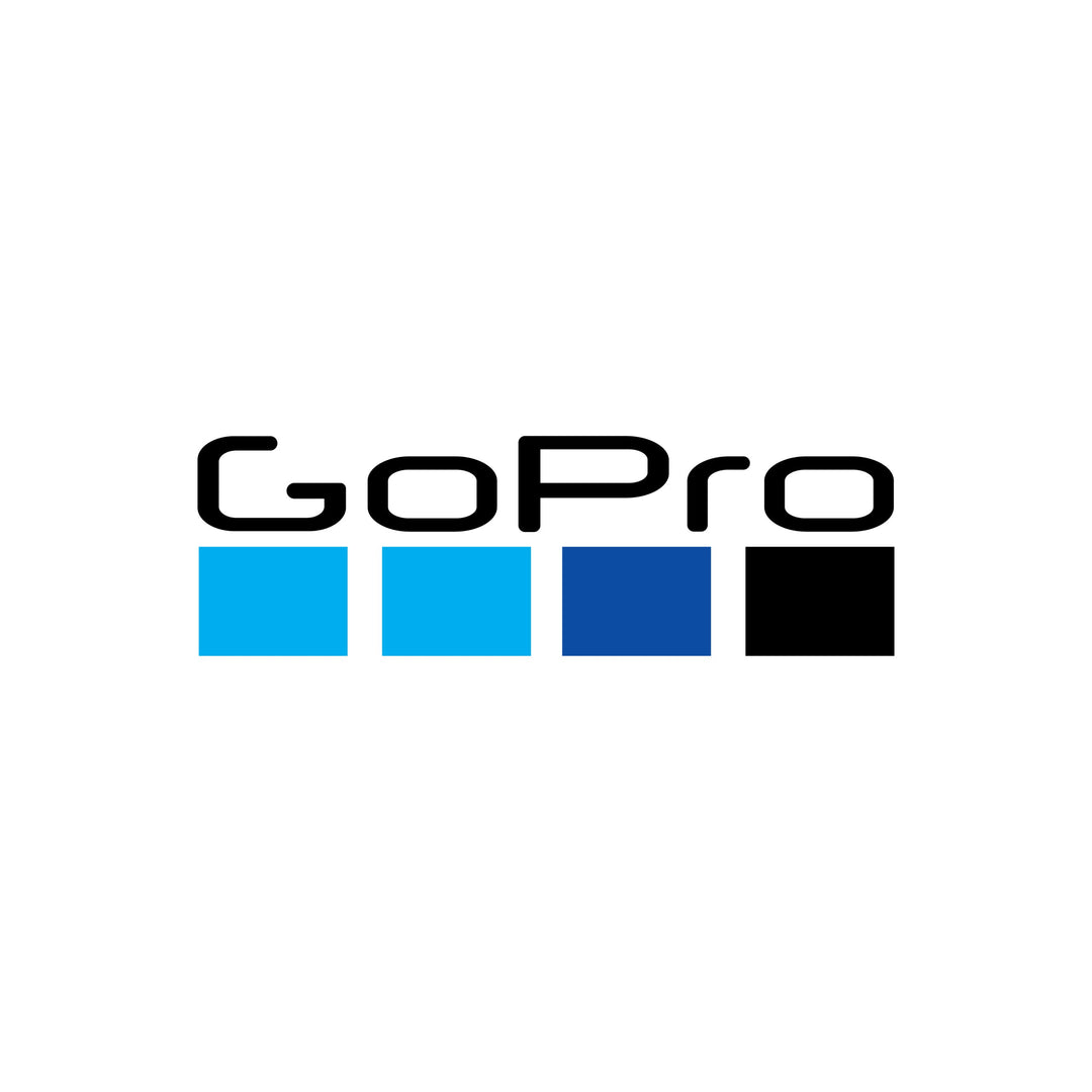 GoPro