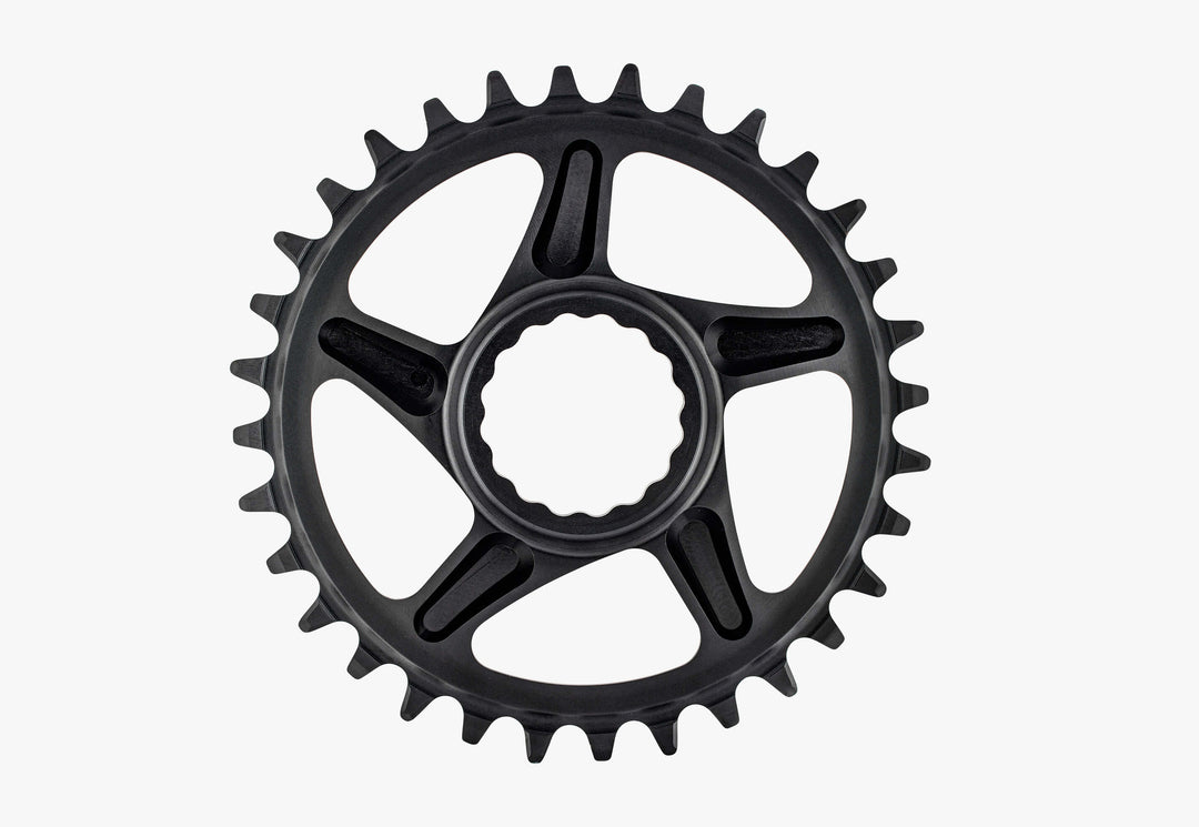 Plato DM Cinch - SHI 12