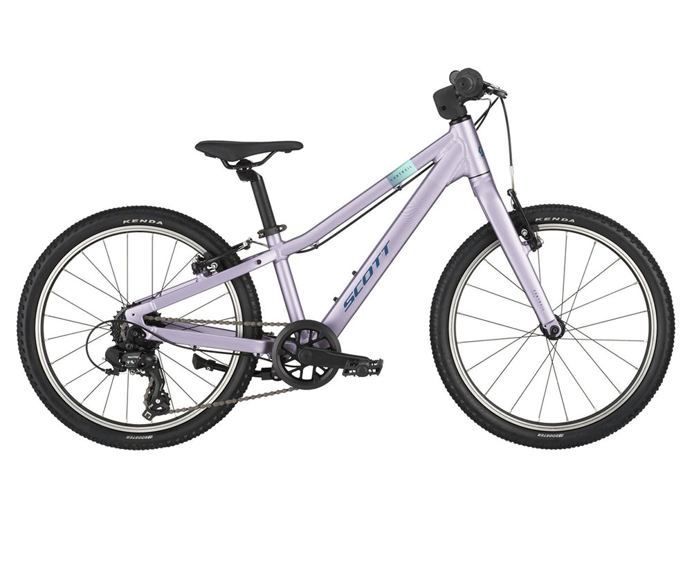 #color_morado