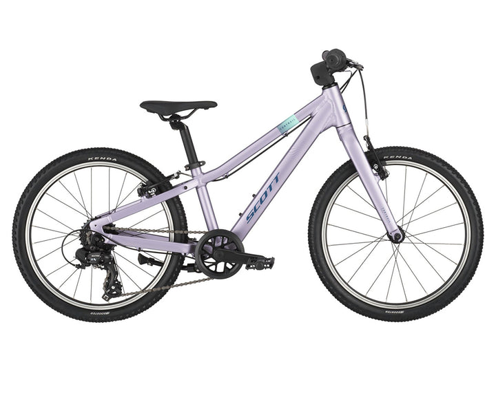 #color_morado