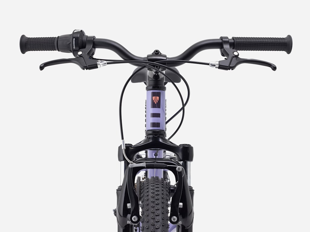 Trek Precaliber 20" 7 velocidades