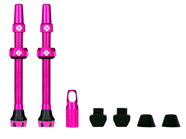 #color_rosa