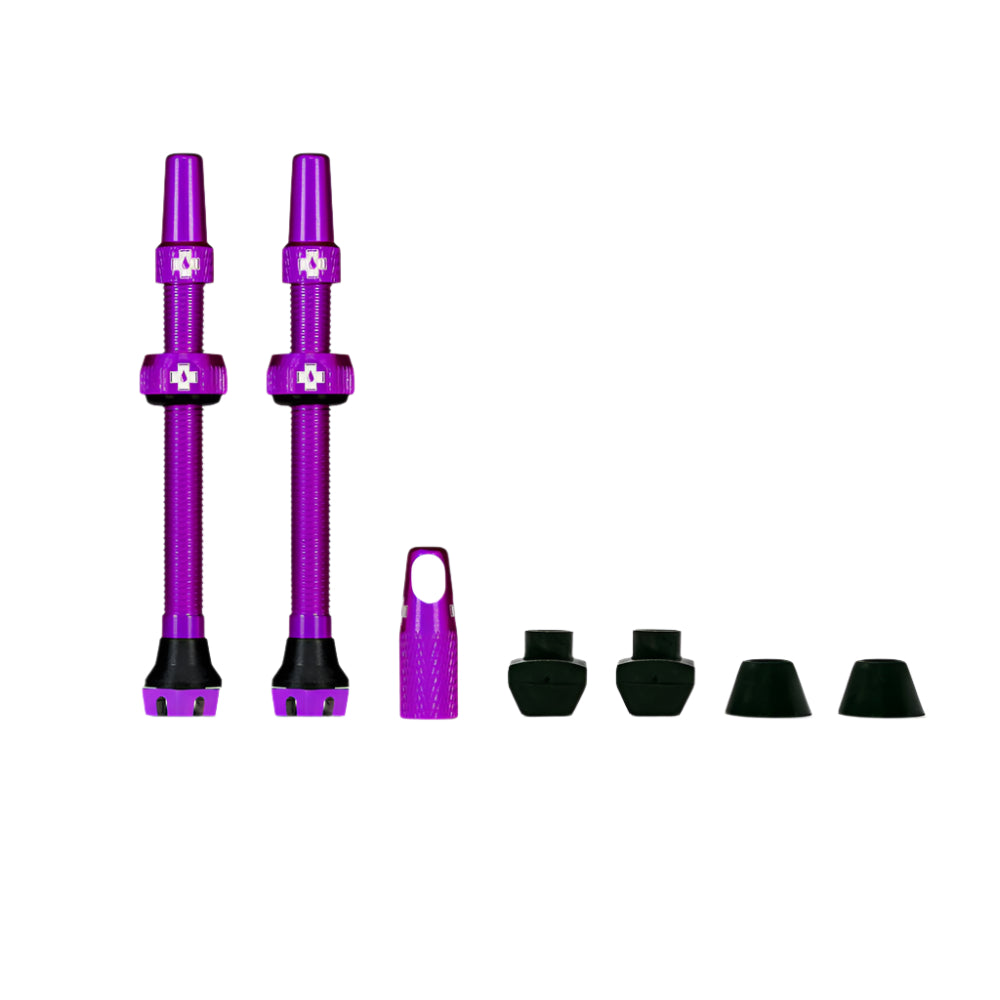  #color_morado