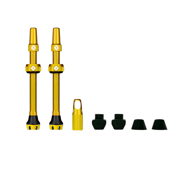#color_dorado