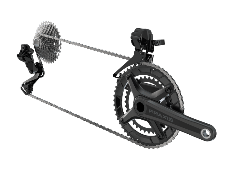 Multiplicación Zayante Carbón